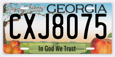 GA license plate CXJ8075