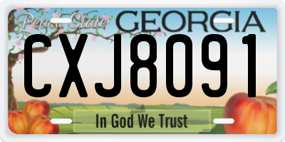 GA license plate CXJ8091