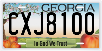 GA license plate CXJ8100