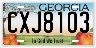 GA license plate CXJ8103