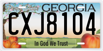GA license plate CXJ8104