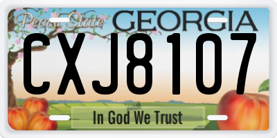 GA license plate CXJ8107