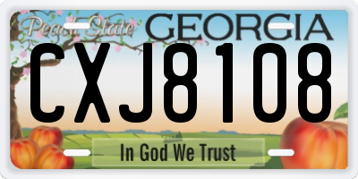 GA license plate CXJ8108