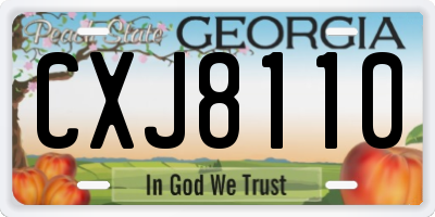 GA license plate CXJ8110