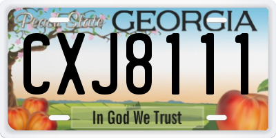 GA license plate CXJ8111