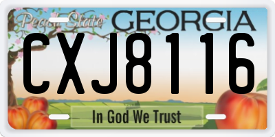 GA license plate CXJ8116