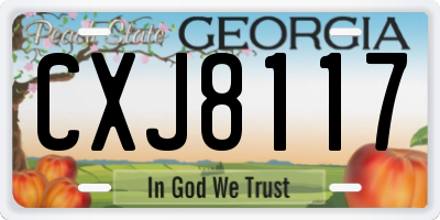 GA license plate CXJ8117