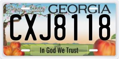 GA license plate CXJ8118