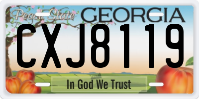 GA license plate CXJ8119