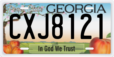 GA license plate CXJ8121