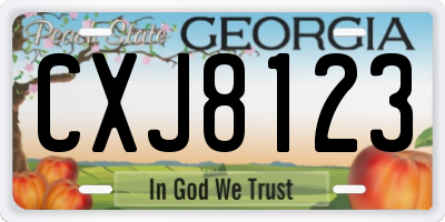 GA license plate CXJ8123