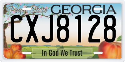 GA license plate CXJ8128