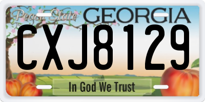 GA license plate CXJ8129