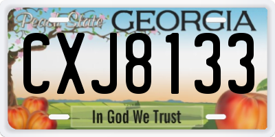 GA license plate CXJ8133