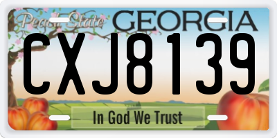 GA license plate CXJ8139