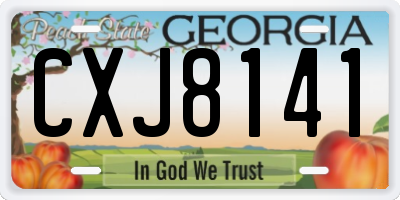 GA license plate CXJ8141