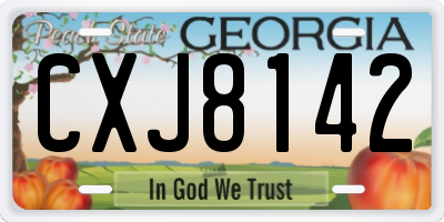 GA license plate CXJ8142