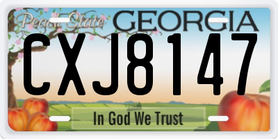GA license plate CXJ8147