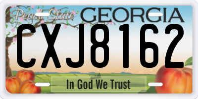 GA license plate CXJ8162