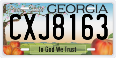 GA license plate CXJ8163