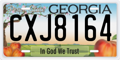 GA license plate CXJ8164