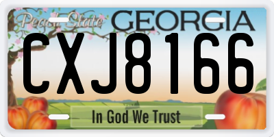 GA license plate CXJ8166
