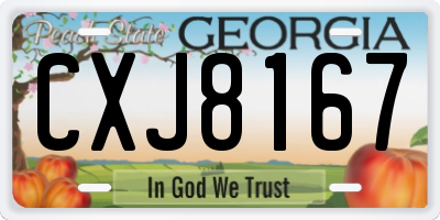 GA license plate CXJ8167