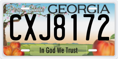 GA license plate CXJ8172