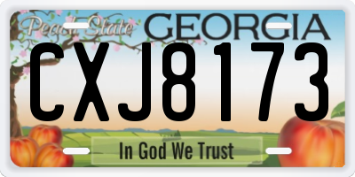 GA license plate CXJ8173
