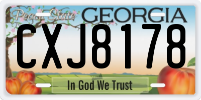 GA license plate CXJ8178