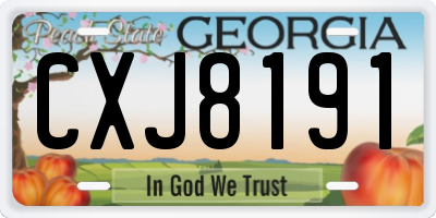 GA license plate CXJ8191