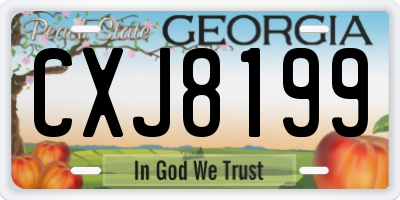 GA license plate CXJ8199