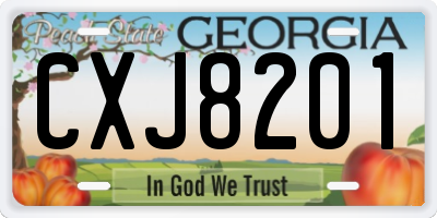 GA license plate CXJ8201