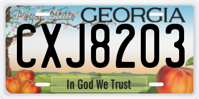 GA license plate CXJ8203
