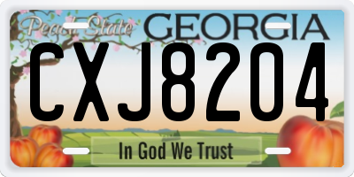GA license plate CXJ8204