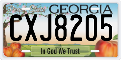 GA license plate CXJ8205