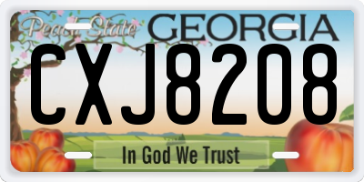 GA license plate CXJ8208