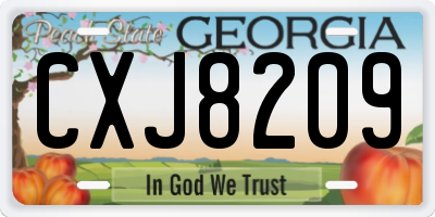 GA license plate CXJ8209