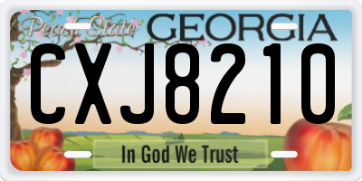 GA license plate CXJ8210