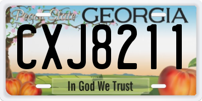 GA license plate CXJ8211