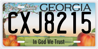 GA license plate CXJ8215