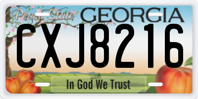 GA license plate CXJ8216
