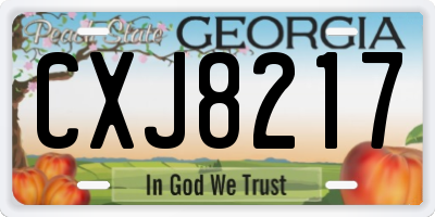 GA license plate CXJ8217