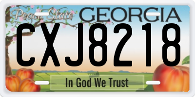 GA license plate CXJ8218