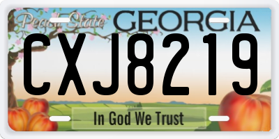 GA license plate CXJ8219