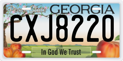 GA license plate CXJ8220