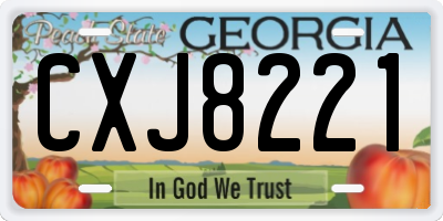 GA license plate CXJ8221