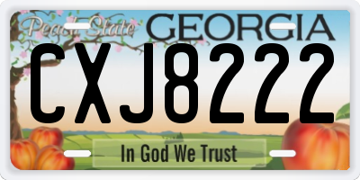 GA license plate CXJ8222