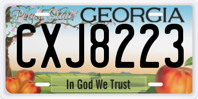GA license plate CXJ8223