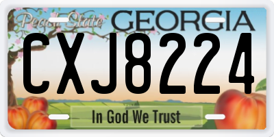 GA license plate CXJ8224